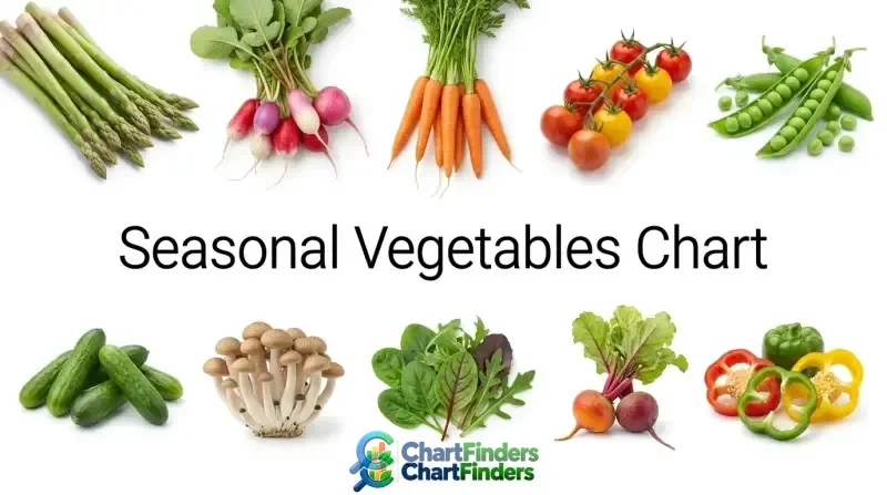 Seasonal Vegetables Chart: Field Comparison Matrix