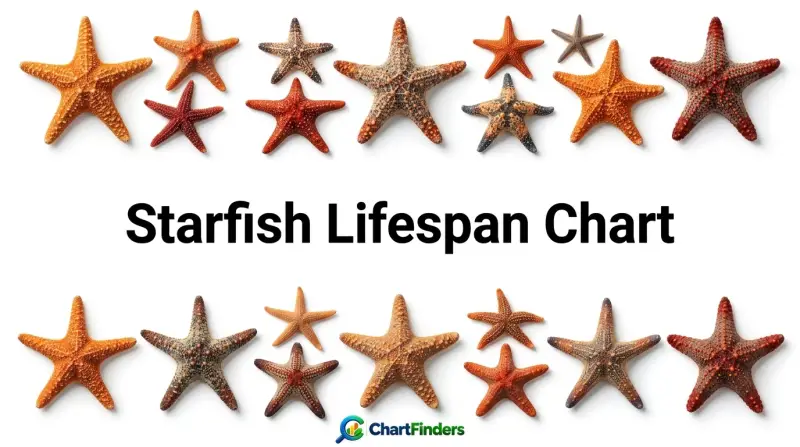 Starfish Lifespan Chart