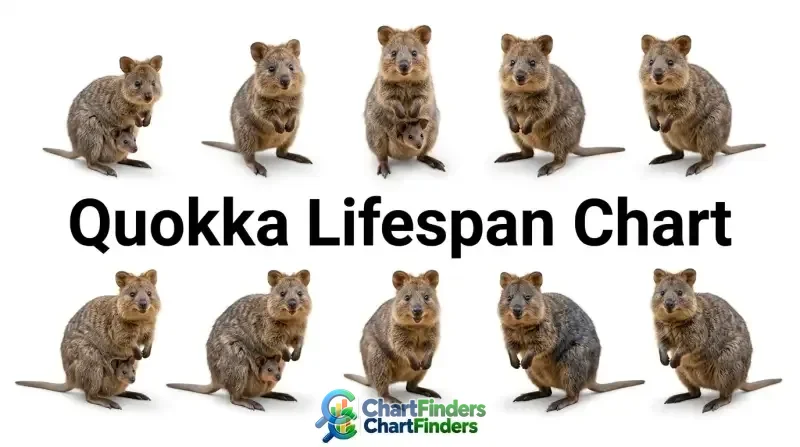 Quokka Lifespan Chart